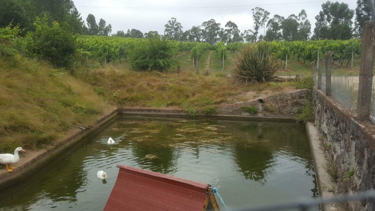 Maison d'hôtes Quinta D'Areda Wine&Pool Experience à Fafe Extérieur photo